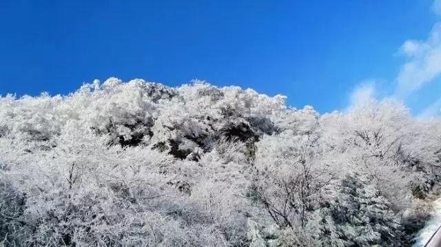 弹珠泡泡龙