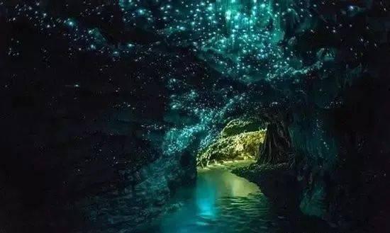 空洞骑士
