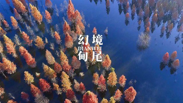 《星露谷物语》1.6版更新档规模将比预想中更大