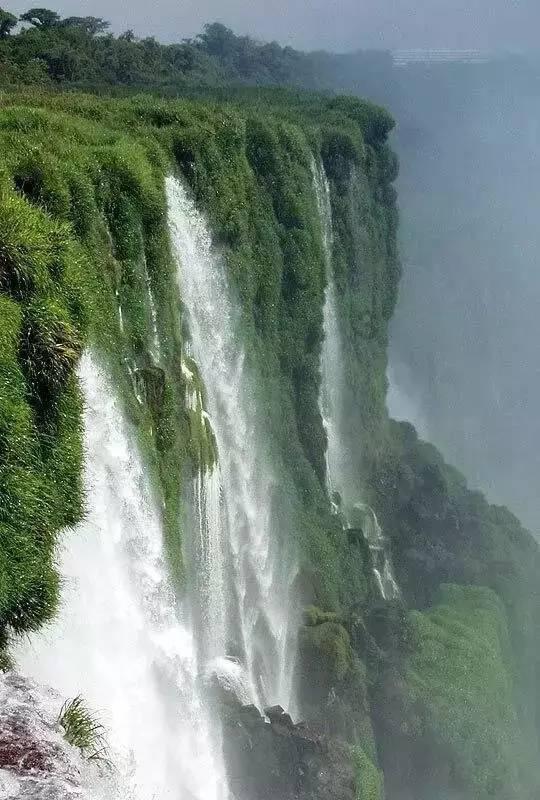 春雨直播app