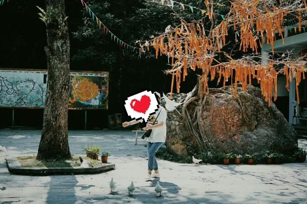 中外学者上海共议AI对未来的影响