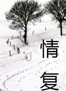 超三国无双4