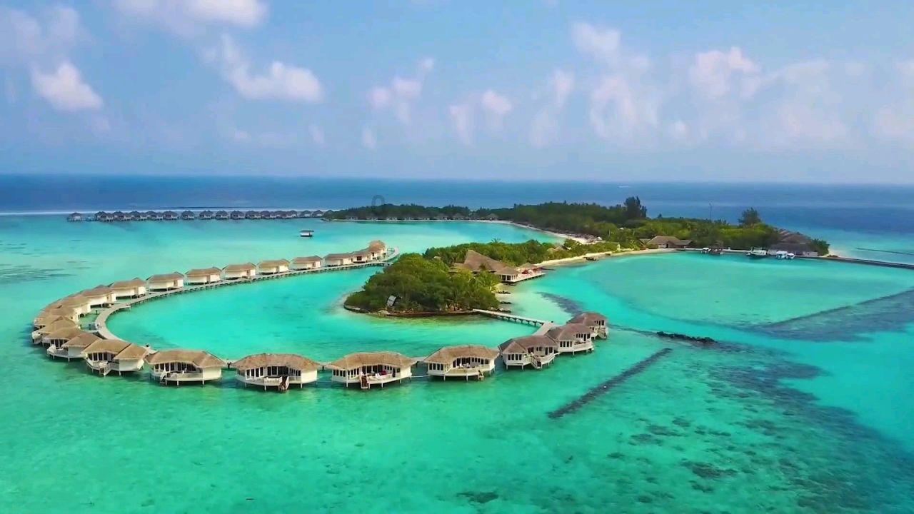 时尚的模特们