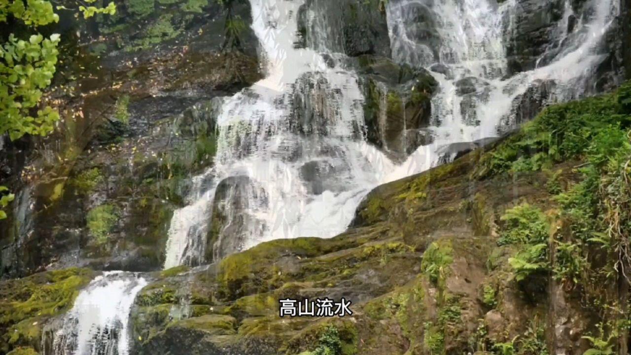 抖音滋补品类目怎么开通?滋补品燕窝报白流程步骤?入驻费用是多少