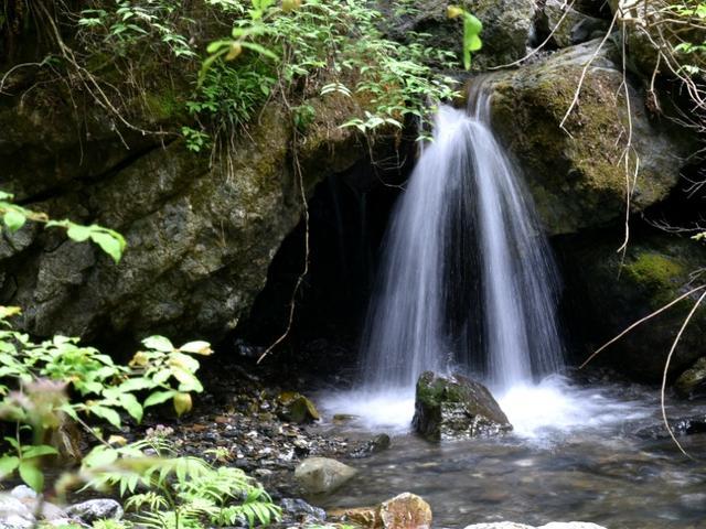 卤鸡、神肘、狮子头……昆华年菜开卖啦!