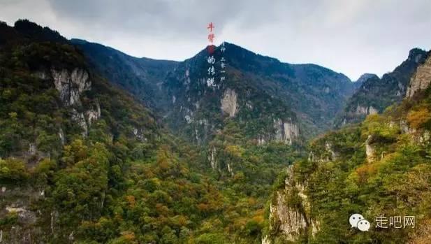秦岚邀请您来沈阳做客