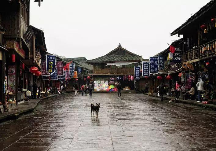 掘地挖宝