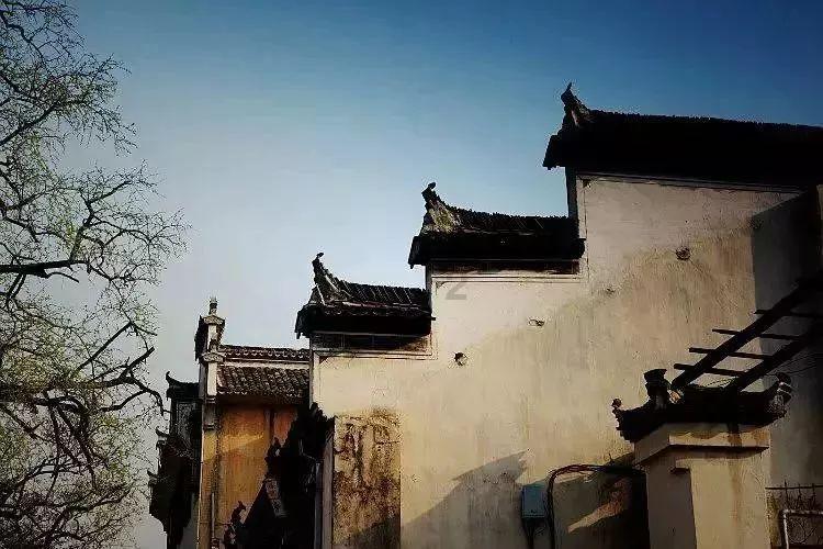 救援卡通老虎
