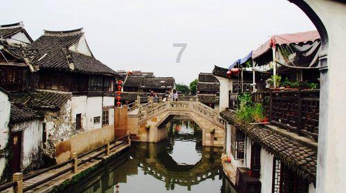动物帮帮忙保卫家园